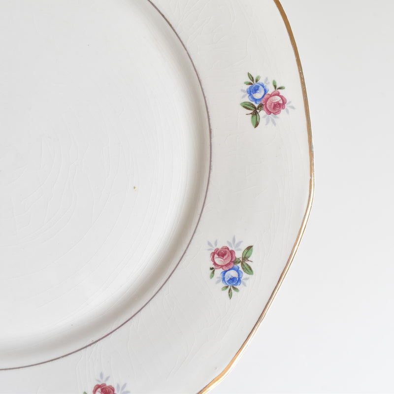 Vintage Plate Digoin & Sarreguemines 9123 C