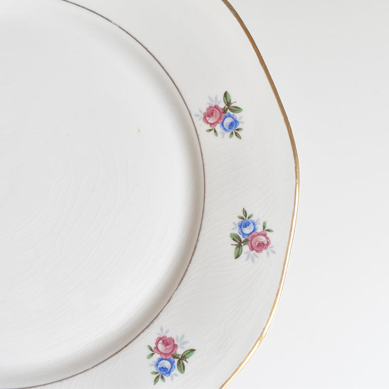 Vintage Plate Digoin & Sarreguemines 9123 C