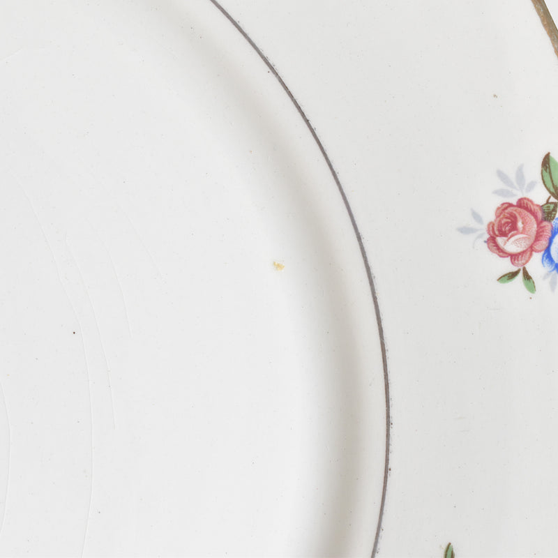 Vintage Plate Digoin & Sarreguemines 9123 C