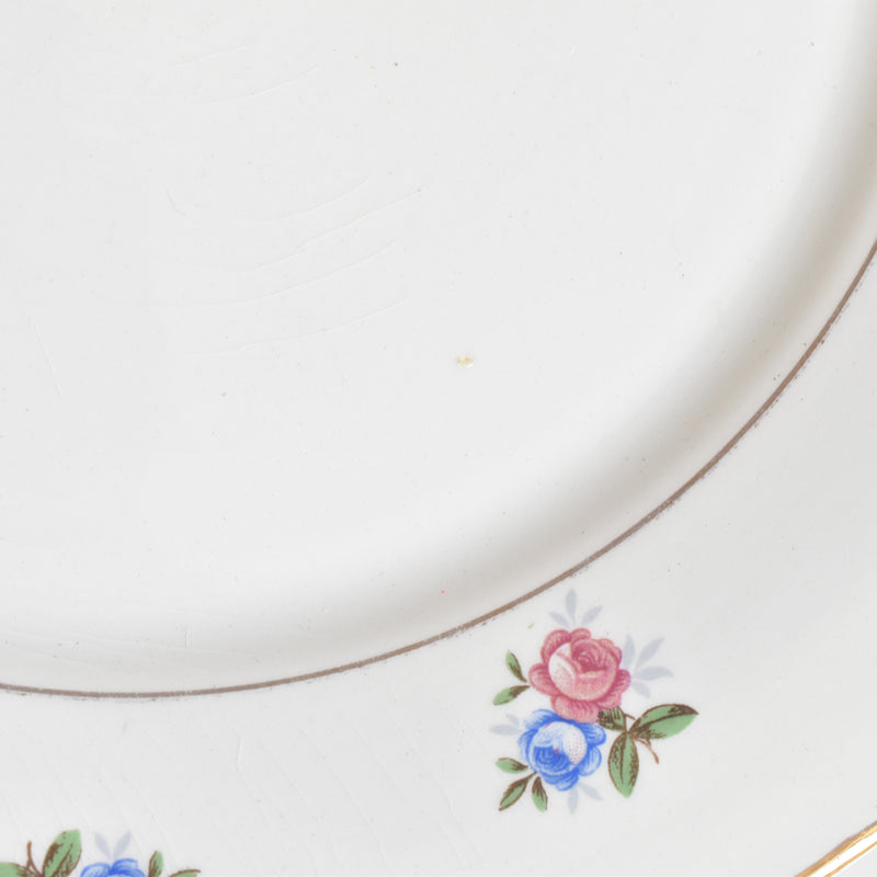 Vintage Plate Digoin & Sarreguemines 9123 C