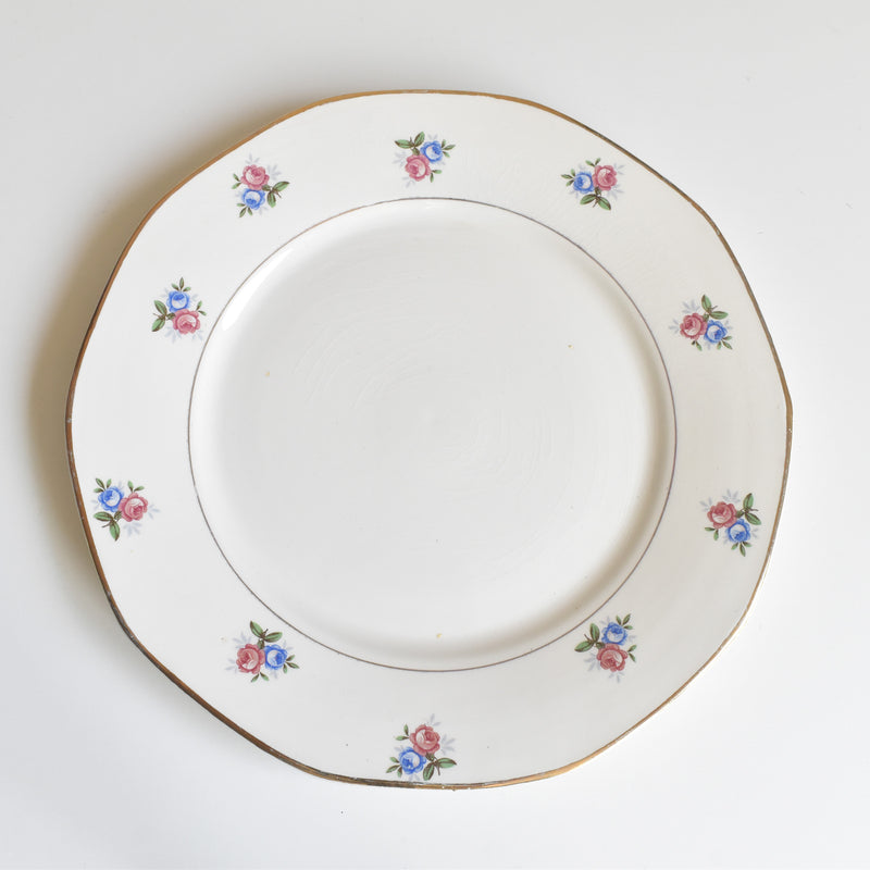 Vintage Plate Digoin & Sarreguemines 9123 C
