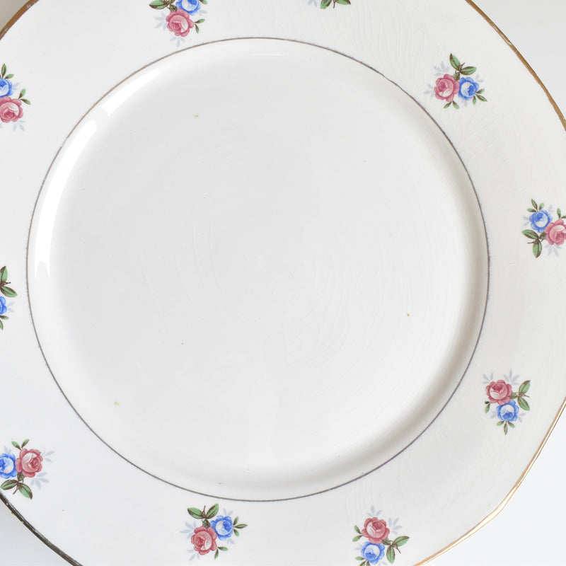 Vintage Plate Digoin & Sarreguemines 9123 C
