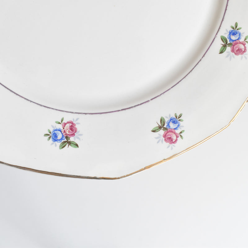 Vintage Plate Digoin & Sarreguemines 9123 D