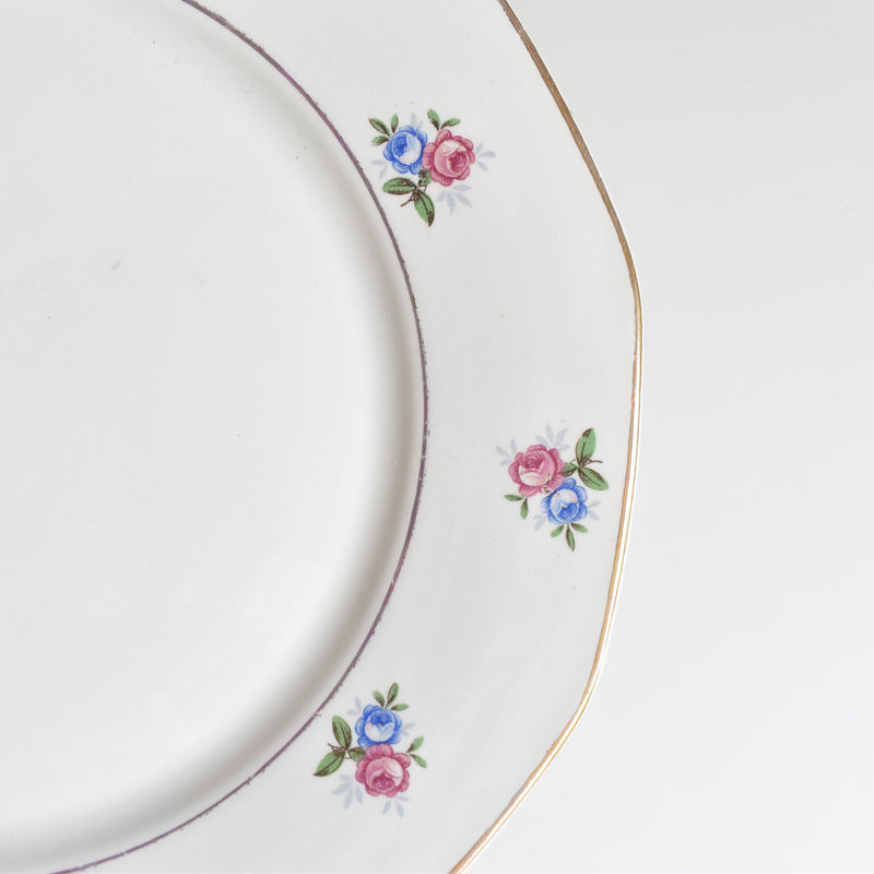 Vintage Plate Digoin & Sarreguemines 9123 D
