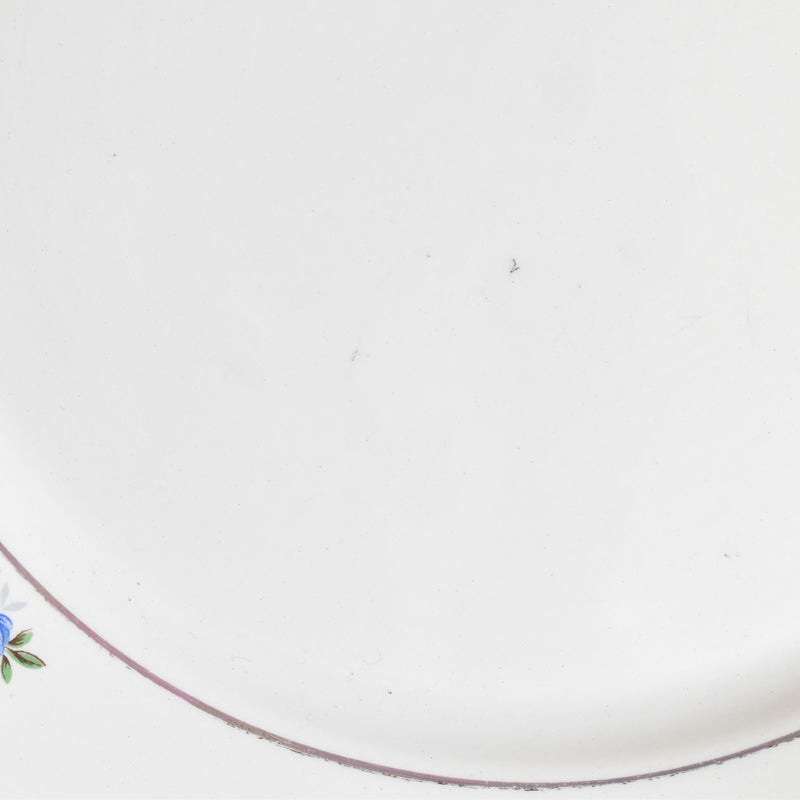 Vintage Plate Digoin & Sarreguemines 9123 D
