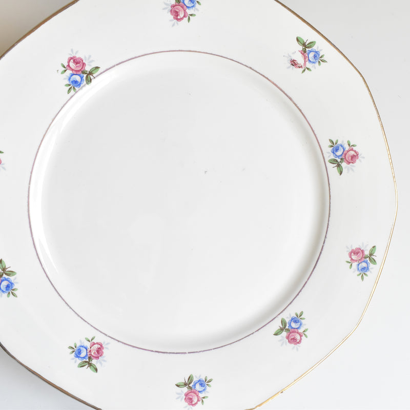 Vintage Plate Digoin & Sarreguemines 9123 D