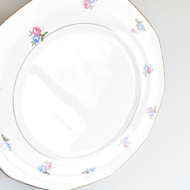 Vintage Plate Digoin & Sarreguemines 9123 D