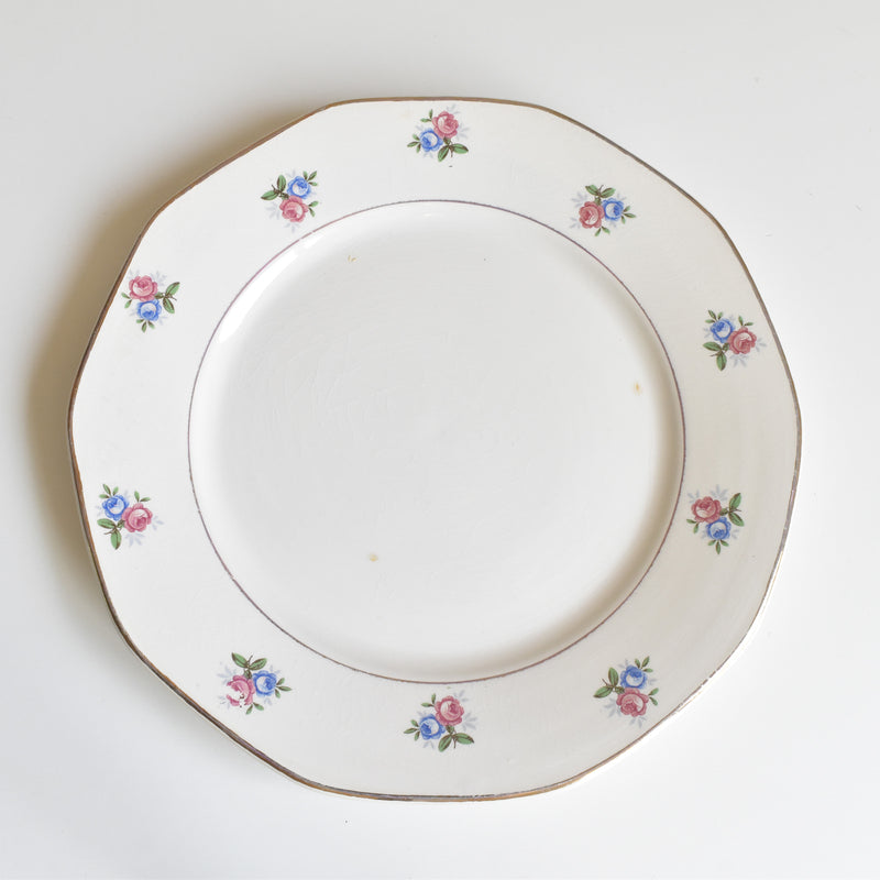 ヴィンテージプレート ディゴワン＆サルグミンヌ 9123 E