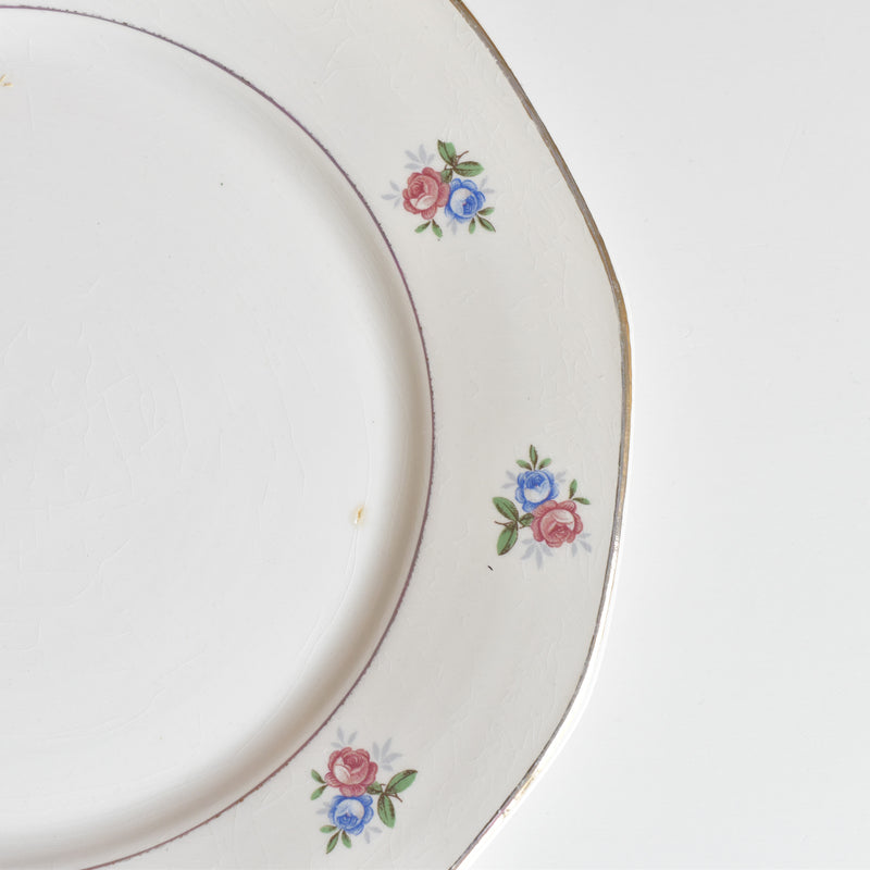 ヴィンテージプレート ディゴワン＆サルグミンヌ 9123 E