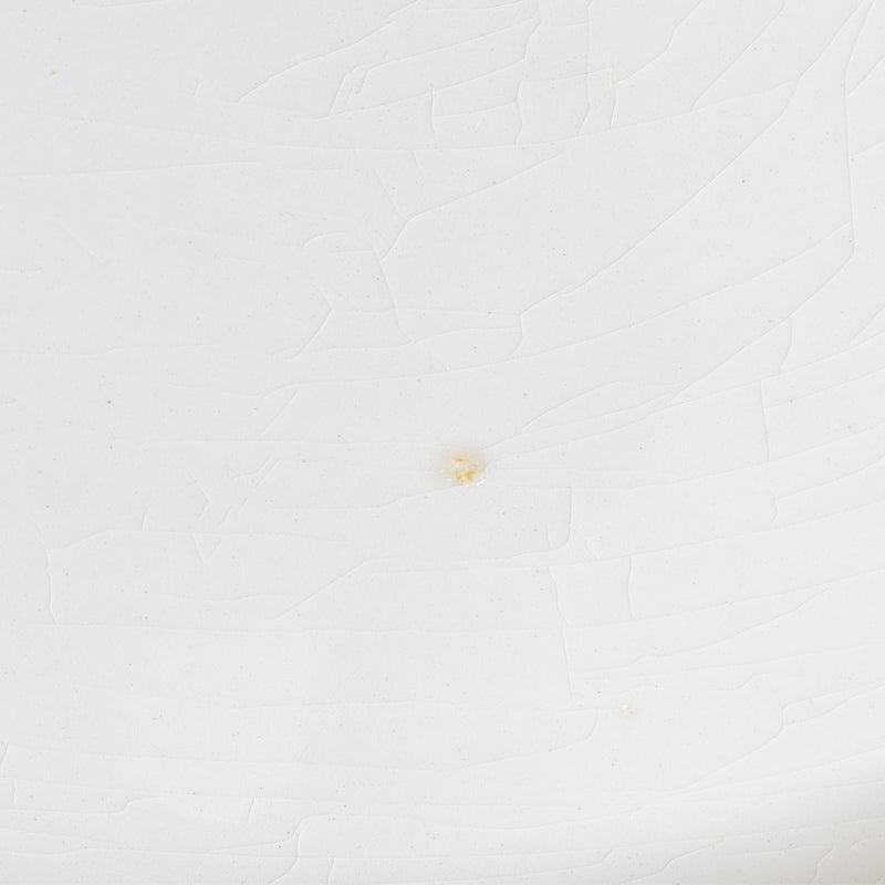 ヴィンテージプレート ディゴワン＆サルグミンヌ 9123 E