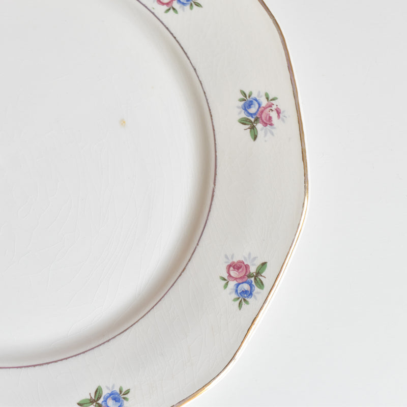 ヴィンテージプレート ディゴワン＆サルグミンヌ 9123 E