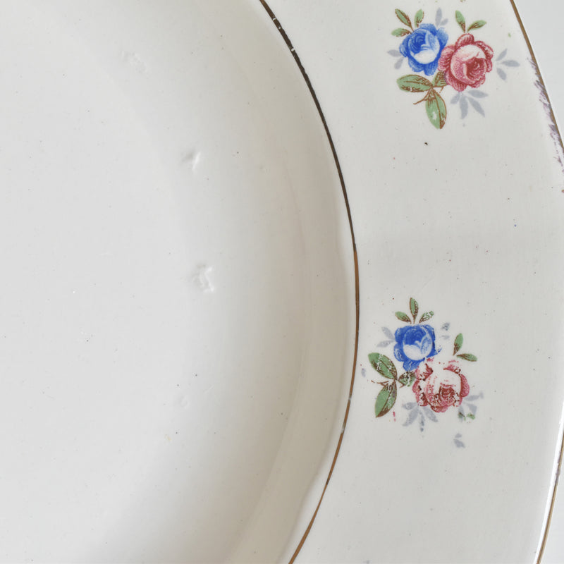 Vintage Deep Plate, Digoin & Sarreguemines 9123 A