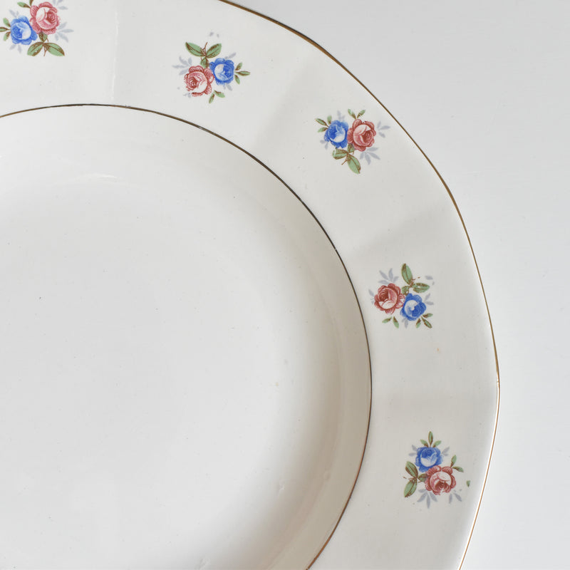 Vintage Deep Plate, Digoin & Sarreguemines 9123 A