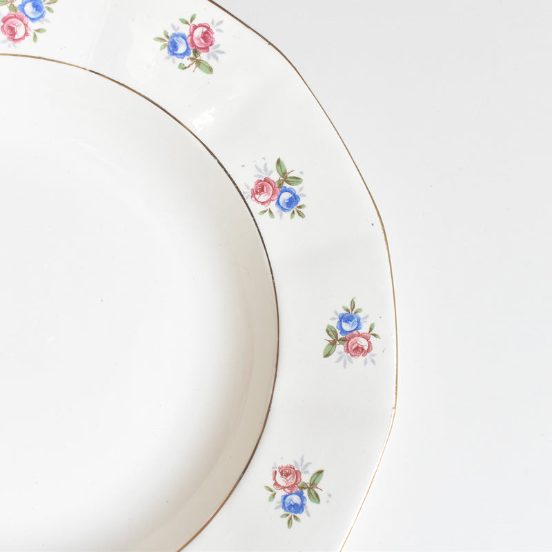 Vintage Deep Plate, Digoin & Sarreguemines 9123 A