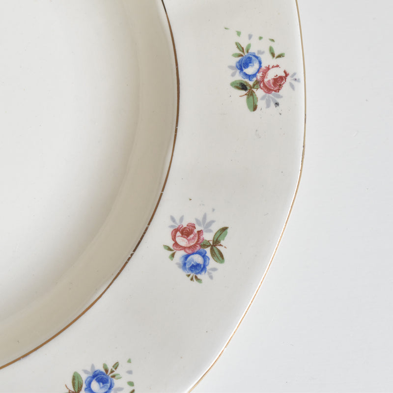 Vintage Deep Plate Digoin & Sarreguemines 9123 C