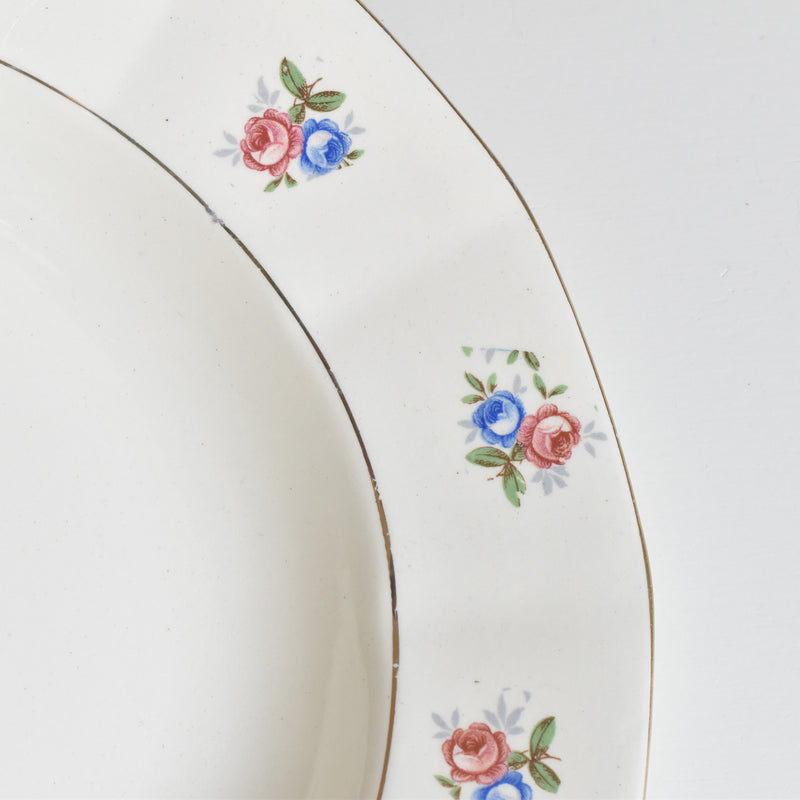 Vintage Deep Plate Digoin & Sarreguemines 9123 C