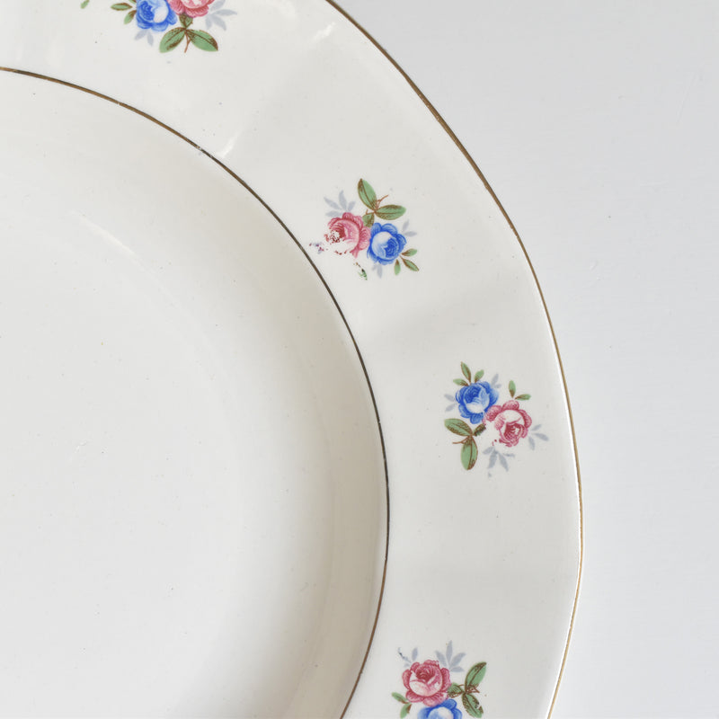 Vintage Deep Plate Digoin & Sarreguemines 9123 C