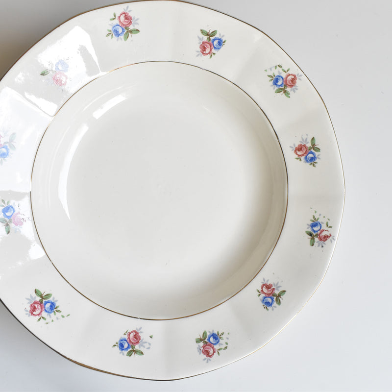 Vintage Deep Plate Digoin & Sarreguemines 9123 C