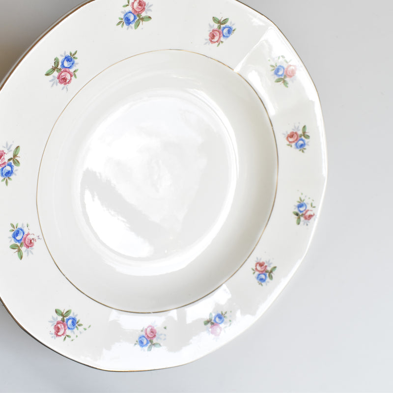 Vintage Deep Plate Digoin & Sarreguemines 9123 C