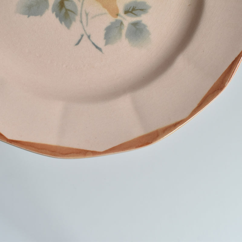 Vintage Dessert Plate Digoin & Sarreguemines 9181 D