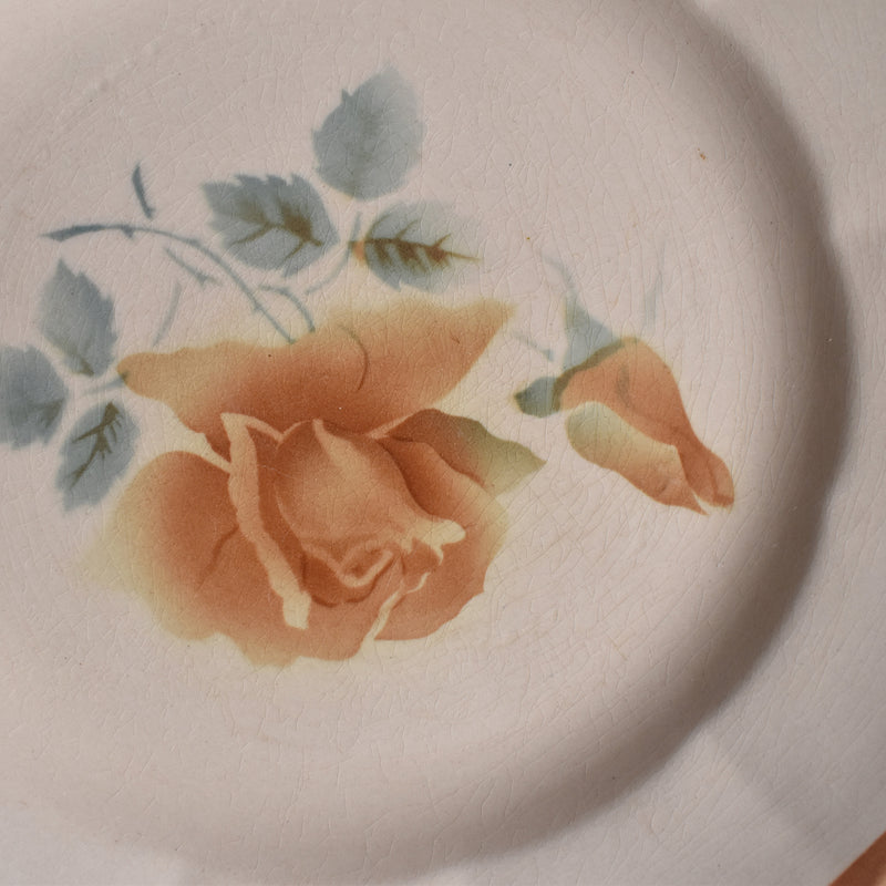 Vintage Dessert Plate Digoin & Sarreguemines 9181 D