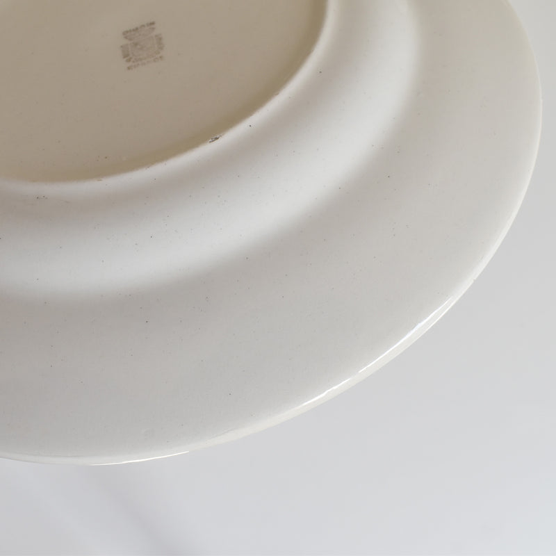 Vintage Plate Digoin & Sarreguemines 9491 A