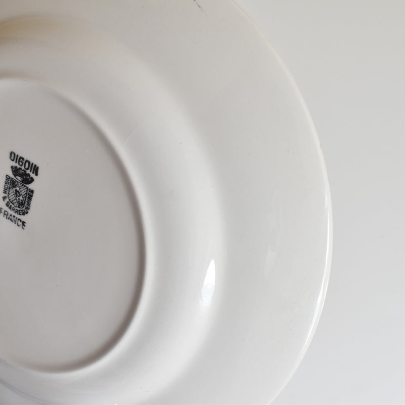 Vintage Plate, Digoin & Sarreguemines 9491 B