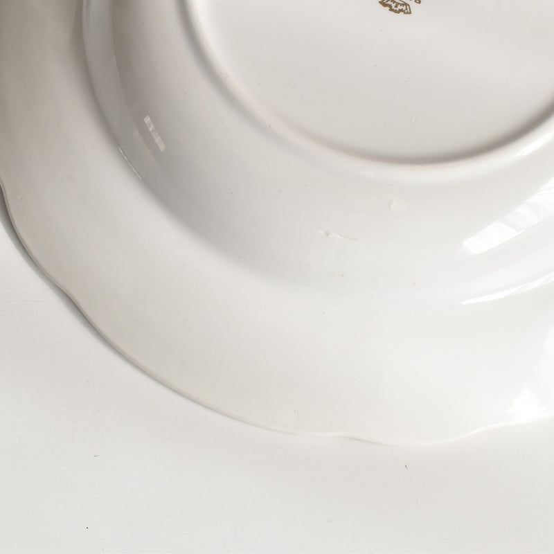 ヴィンテージ深皿 ディゴワン＆サルグミンヌ Colbert (コルベル） A