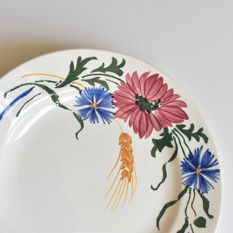 Vintage Plate: Digoin & Sarreguemines Messidor A