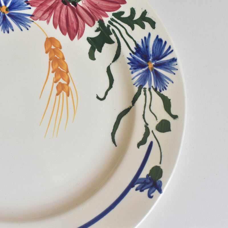 Vintage Plate: Digoin & Sarreguemines Messidor A