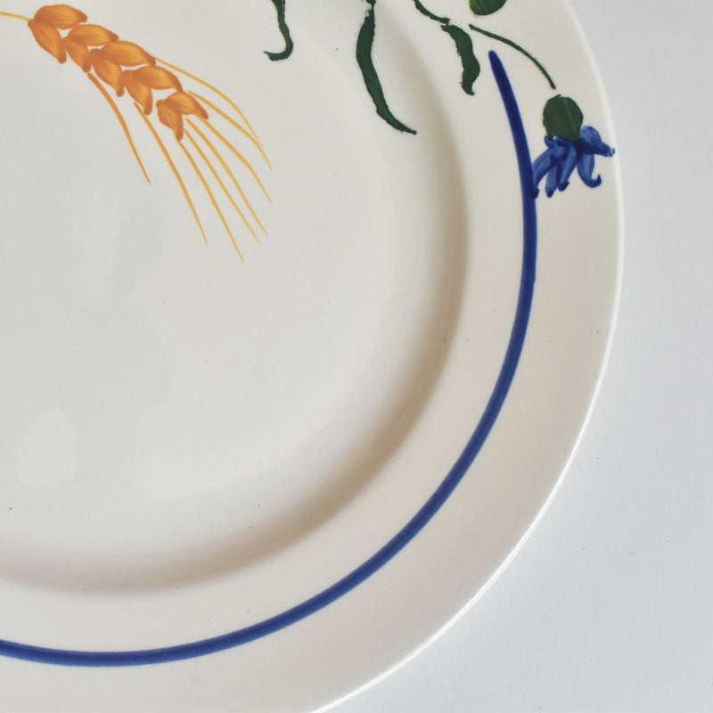 Vintage Plate: Digoin & Sarreguemines Messidor A