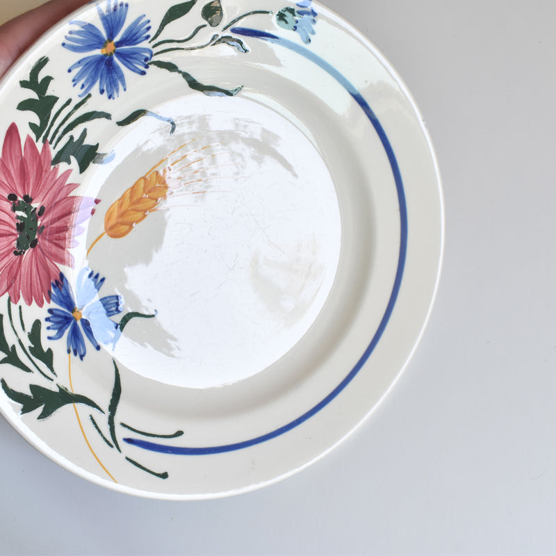 Vintage plate Digoin & Sarreguemines Messidor B