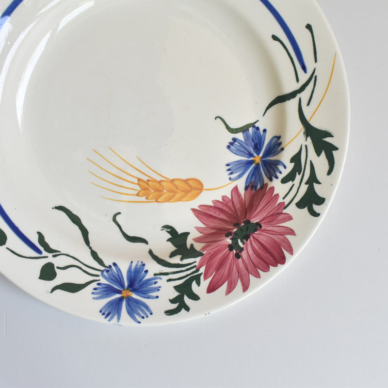 Vintage plate Digoin & Sarreguemines Messidor B