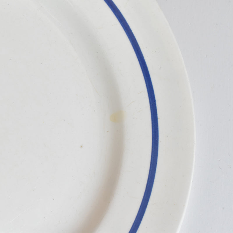 Vintage Plate Digoin & Sarreguemines Messidor C