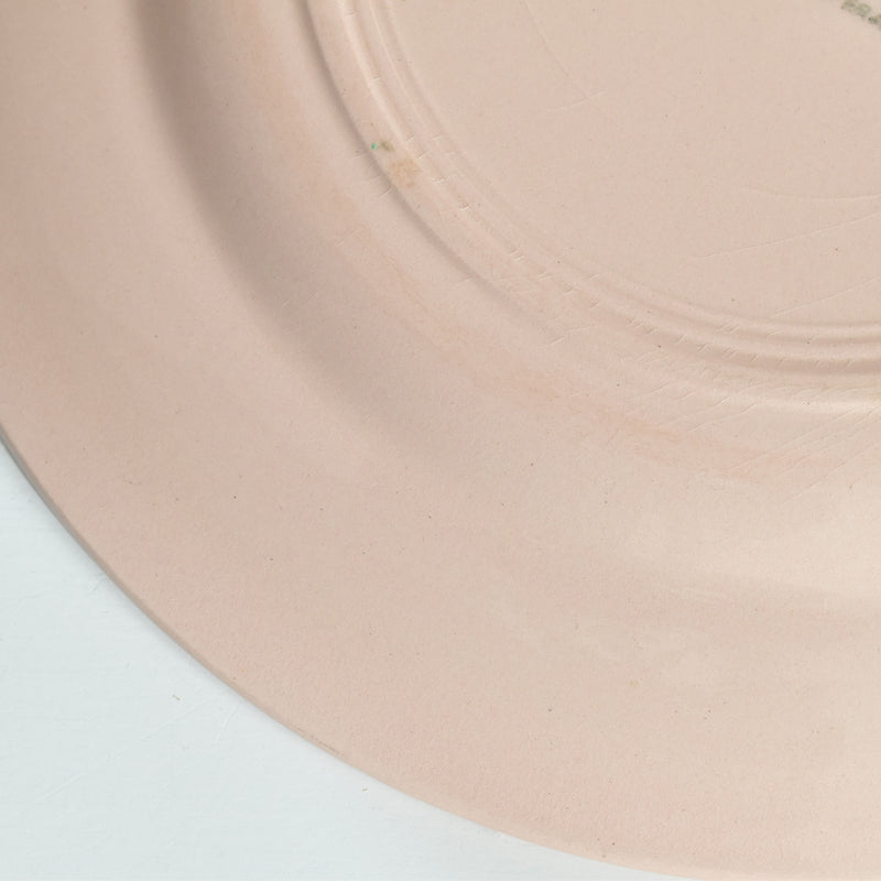 ヴィンテージデザートプレート ディゴワン＆サルグミンヌ ピンク F