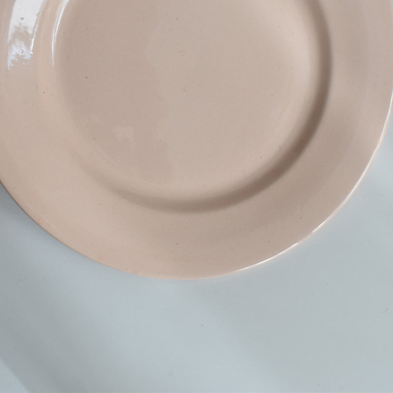 ヴィンテージプレート ディゴワン＆サルグミンヌ ピンク B