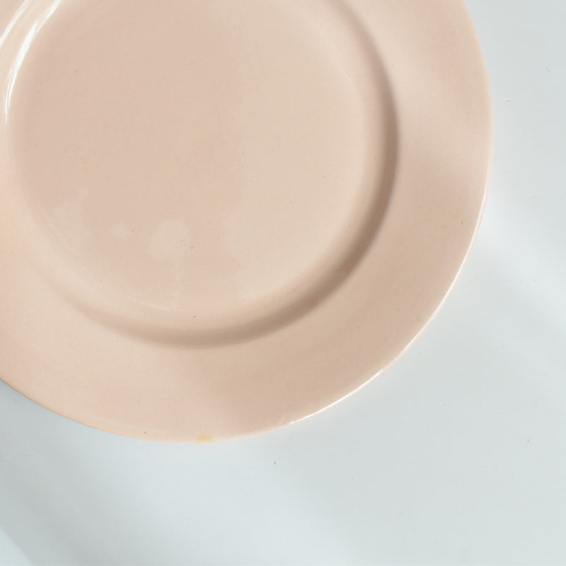 ヴィンテージプレート ディゴワン＆サルグミンヌ ピンク C