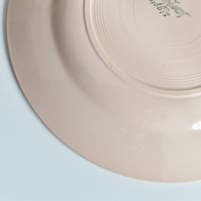 ヴィンテージプレート ディゴワン＆サルグミンヌ ピンク D