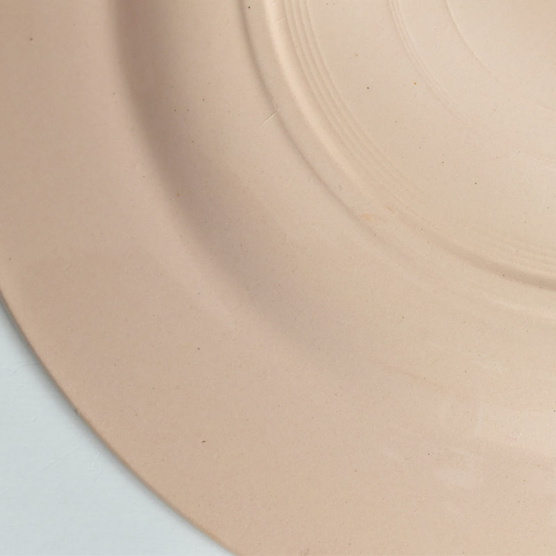 ヴィンテージプレート ディゴワン＆サルグミンヌ ピンク E