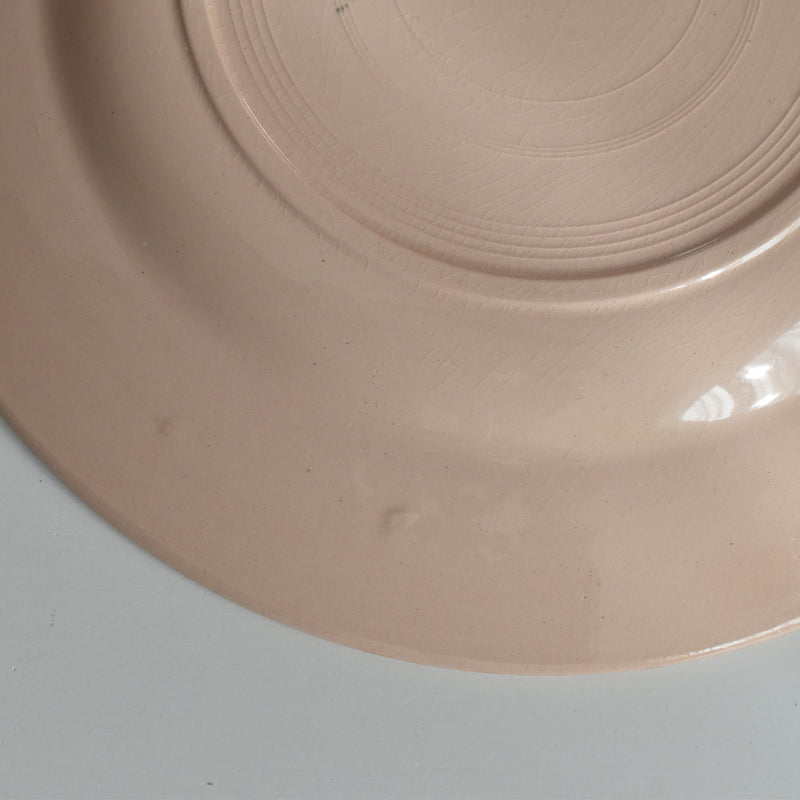 ヴィンテージプレート ディゴワン＆サルグミンヌ ピンク F