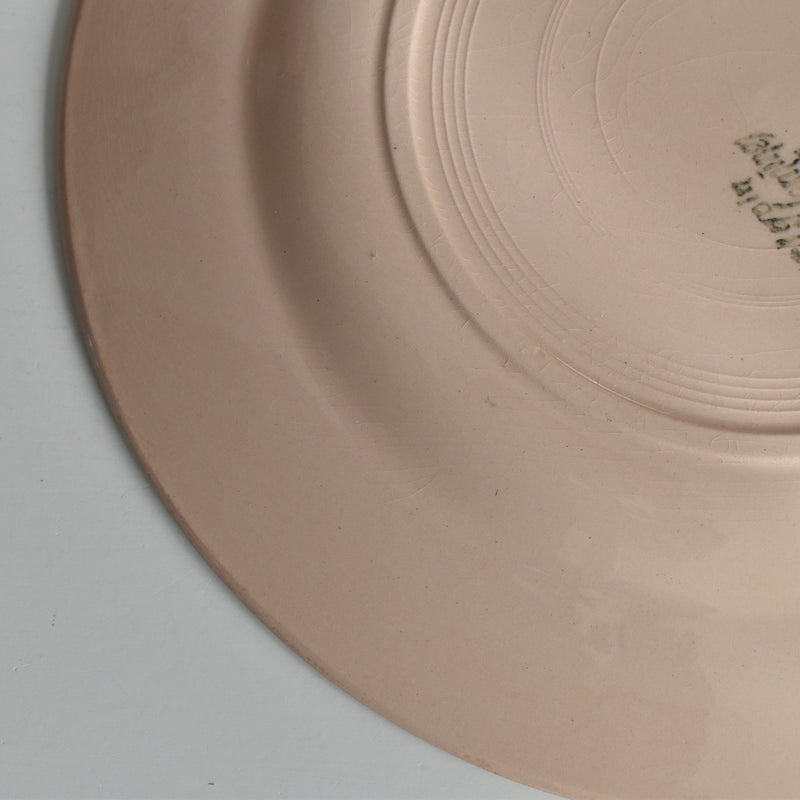 ヴィンテージプレート ディゴワン＆サルグミンヌ ピンク F