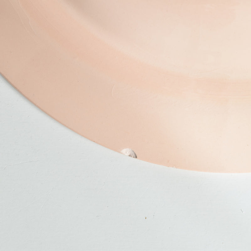 ヴィンテージ深皿 ディゴワン＆サルグミンヌ ピンク D