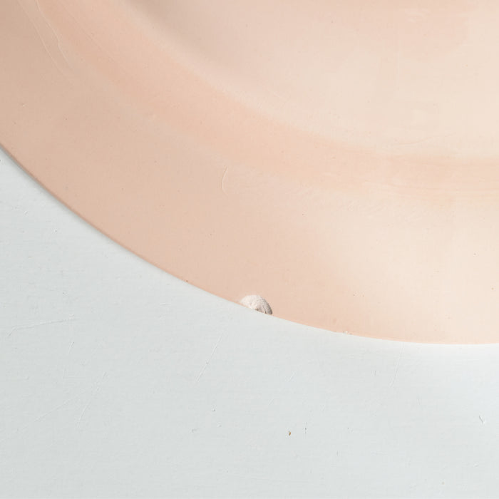 ヴィンテージ深皿 ディゴワン＆サルグミンヌ ピンク D