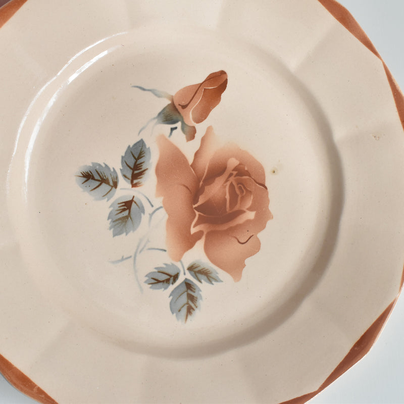 ヴィンテージプレート ディゴワン＆サルグミンヌ 9181