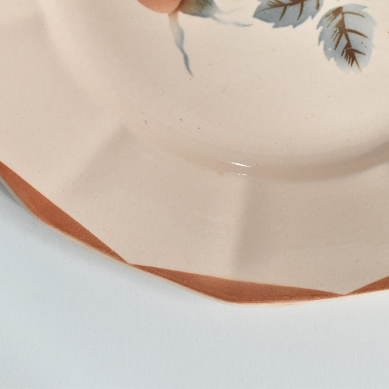 ヴィンテージプレート ディゴワン＆サルグミンヌ 9181