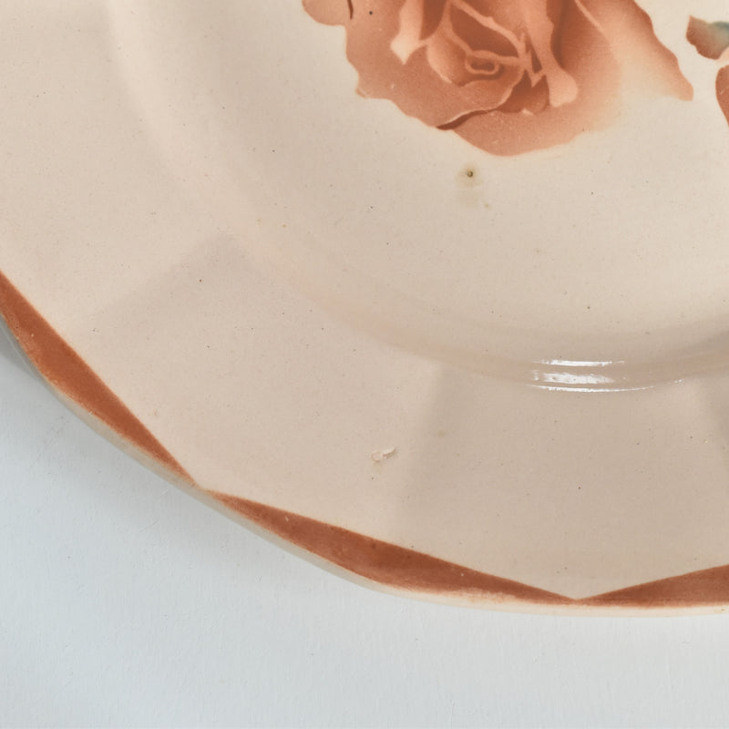 ヴィンテージプレート ディゴワン＆サルグミンヌ 9181