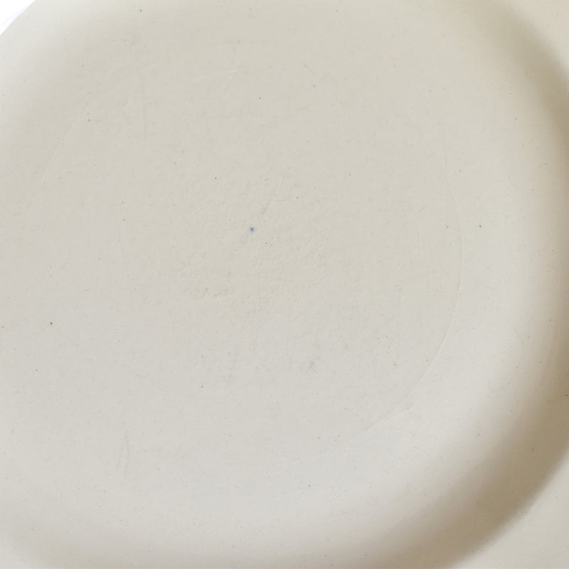 Vintage Plate: Digoin & Sarreguemines "Rohan" (Petal Edge) G