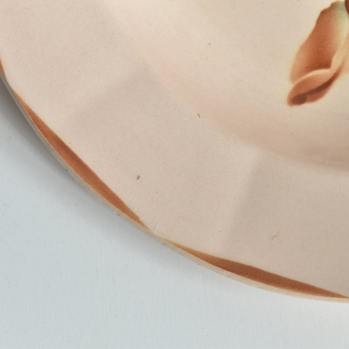 ヴィンテージ深皿 ディゴワン＆サルグミンヌ 9181 B