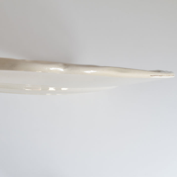 ヴィンテージ大皿 ディゴワン＆サルグミンヌ Yann (ヤン）