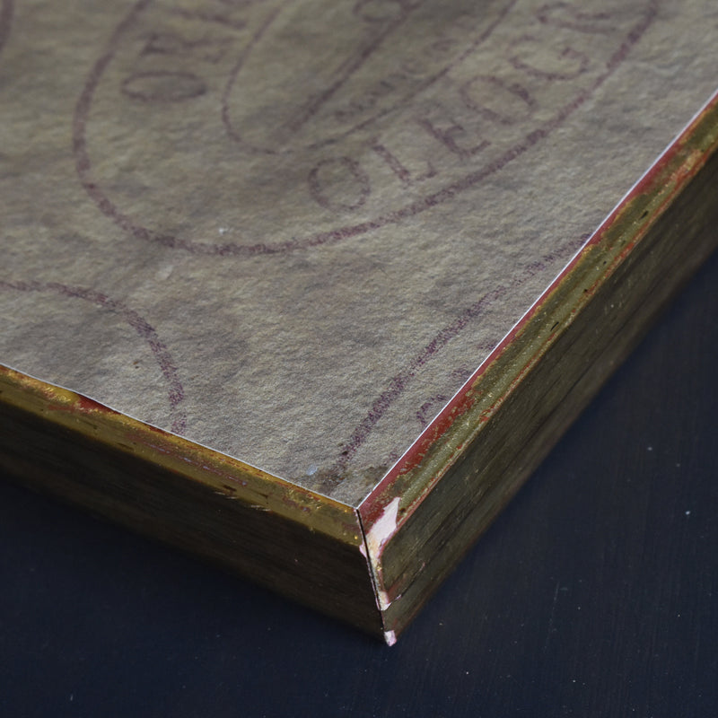 ヴィンテージ絵付きフレーム OLEOGRAPH プリント 鳥